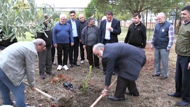Diyanetten fidan dikme etkinliği - BALIKESİR