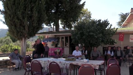 Kesmeye kıyamadığı ağacın etrafına bakkalını inşa etti - BİLECİK