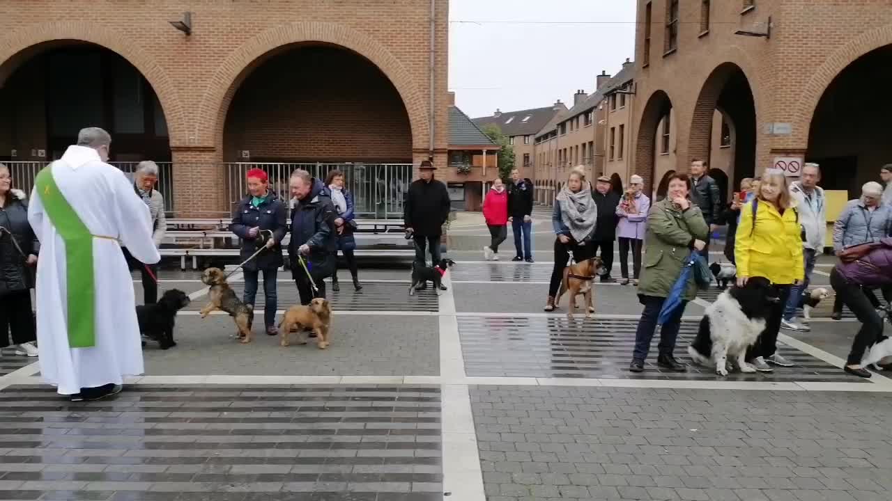 Bénédiction des animaux dans le cadre de la "Fête des Hurlus" 2019, à Mouscron