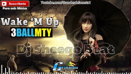 Wake 'M Up (Sheeqo Beat 3ball Remix)Bootleg - The Partysquad