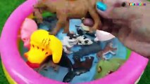 Learn Farm Animals Sea Animals and Wild Animals Names With Water Pool