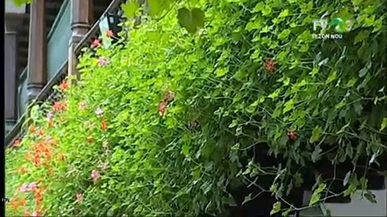 Ana Maria Patrascioiu - Hai, hai, lumea mea (Popasuri folclorice - TVR 3 - 05.10.2019)