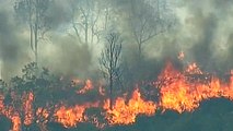 Bushfires threaten farmers in parts of Australia