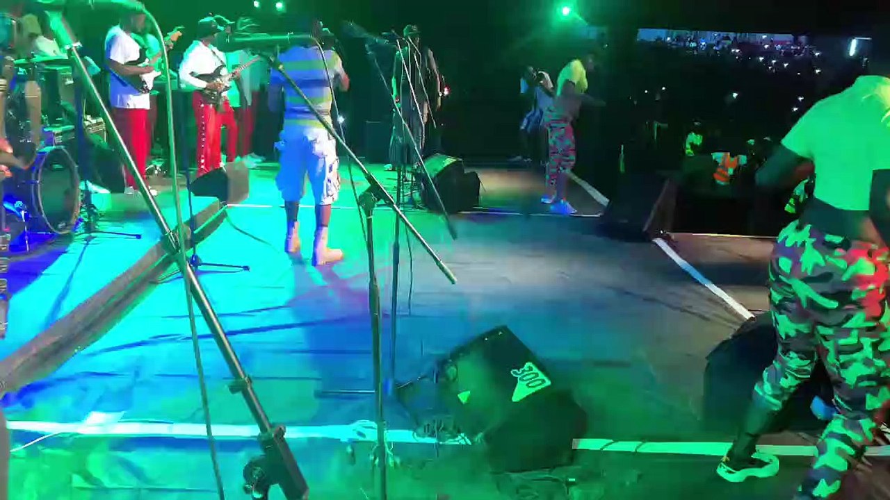 SUPER FALLY  IPUPA