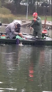 Concours de pêche en barque : aux prises avec un silure de plus d'un mètre