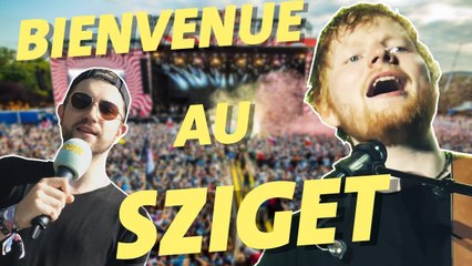 Sziget 2019 : revivez le meilleur du festival !