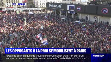 Descargar video: PMA pour toutes: plusieurs milliers de personnes rassemblés à Montparnasse contre le projet de loi