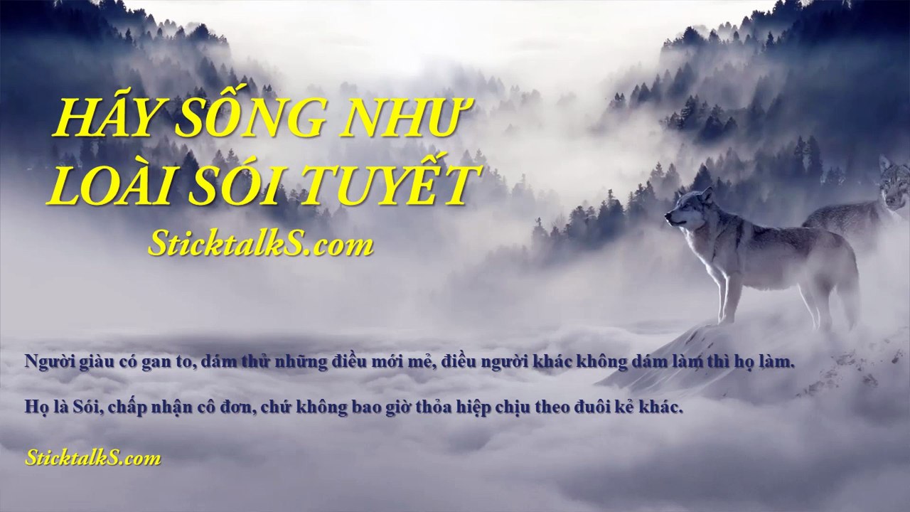 HÃY SỐNG NHƯ LOÀI SÓI TUYẾT