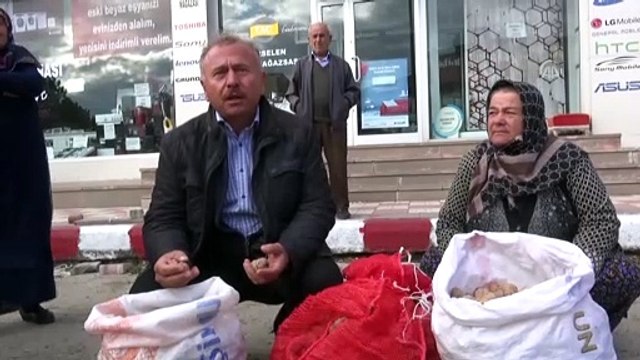 28. Kaman Ceviz, Kültür ve Sanat Festivali - KIRŞEHİR