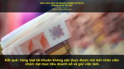 HIỆU ỨNG RẮN HỔ MANG (COBRA EFFECT)