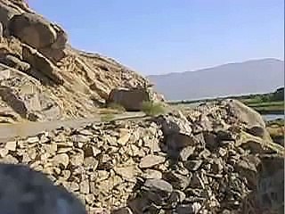 Ces guêpes n'ont pas du tout apprécié l'explosion et sont très en colère