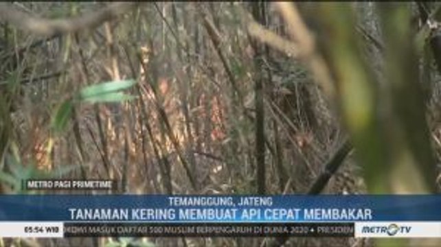 Kawasan Hutan di Lereng Gunung Sumbing Kembali Terbakar