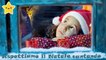 Giulia Parisi - Aspettiamo il Natale cantando #canti di Natale per bambini