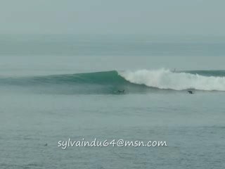 GUETHARY 28 JANVIER 2008 LONGBOARD SURF