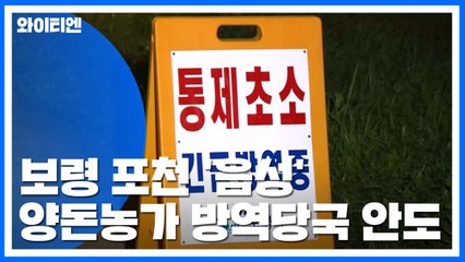 보령·포천 돼지열병 '음성'...한숨돌린 방역당국 / YTN