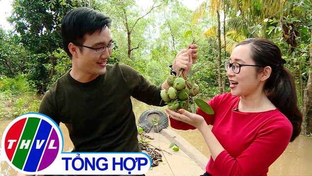 THVL | Ký sự truyền hình | Du lịch nông nghiệp miền Tây - Tập 2: Về Vĩnh Long xem nông dân làm du lịch