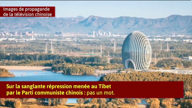 Jean-Pierre Raffarin au service de la propagande chinoise