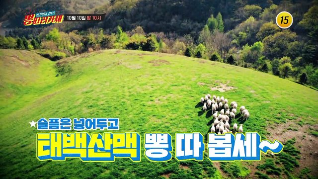 뽕남매의 마지막 여정_뽕 따러 가세 13회 예고