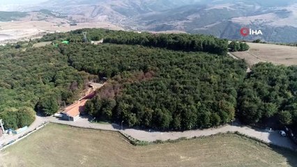 Barınaktan köpek sahiplenenlere uyarı