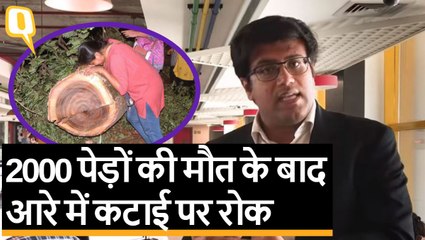 Aarey Forest Issue: SC बोला- और पेड़ मत काटो, 21 अक्टूबर को होगी अगली सुनवाई | Quint Hindi