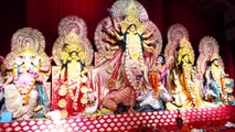 Rani Mukerji, Ayan, Imtiaz and Anurag Basu Take Blessing of Maa Durga