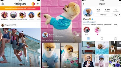 5 Hal Penting Tapi Jarang Diketahui Soal Instagram IGTV
