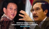 Beredar Hoaks Ahok Sudah Dipilih Jadi Dewan Pengawas KPK, Ini Tanggapan ICW