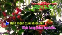 TÌNH ĐẸP MÙA CHÔM CHÔM Tân Cổ KaraOke Song Ca Tân nhạc- Giao Linh - Vọng cổ- Tô Thiên Kiều
