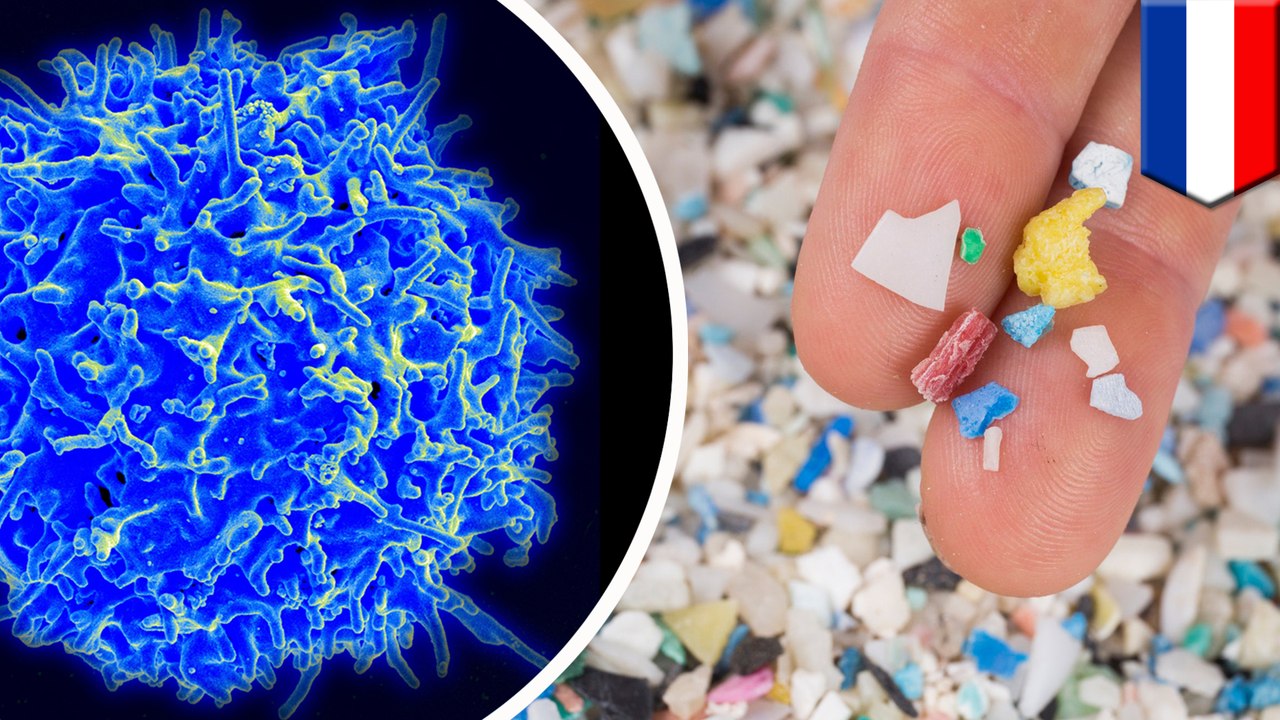 Microplastics cause immune cells to die 3 times faster than normal