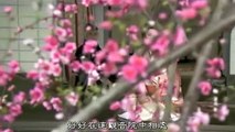 風林火山 日劇SP - PART3