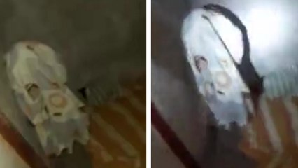 Un malfrat utilise la pire cachette pour tenter de fuir la police