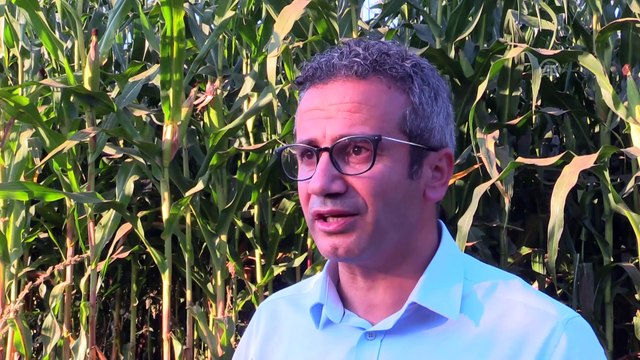 'Yerli tohum ve isimlerle dünya devleri ile yarışıyoruz' - BİLECİK