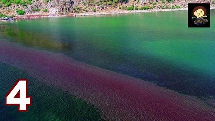 【五大 】5個 恐怖 土耳其都市傳說, Top 5 Scary Turkish Urban Legends － 三爺奶奶頻道