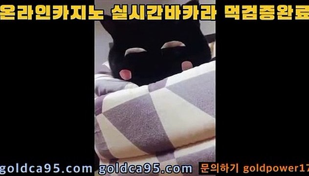 #ㅂㅏ카라 #ㅋㅏ지노 [#백혜련] [#조국구속] 자본 5000억원 환전3분컷 검증완료 ㅇㅈ? ㅇㅇㅈ #골드ㅋㅏㅈㅣ노 입장 가즈아ㅏㅏ▶ banker376.com #ㅂㅏㅋㅏ라 #ㅋㅏ지ㄴㅗㅊㅜ천 #총ㅍㅏㄴ모집
