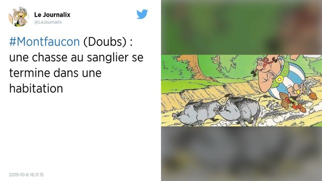 Doubs. Il tombe sur un sanglier, trois chasseurs et une meute de chiens en rentrant dans sa maison