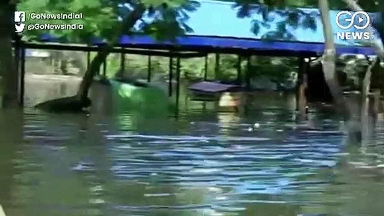 Dengue, Chikungunya Outbreak In Bihar