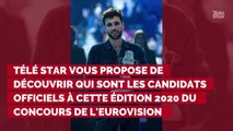 Eurovision 2020 : découvrez les candidats officiels au concours
