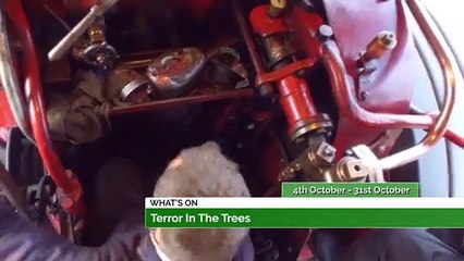 Durham Book Festival, Terror in the Trees + St James Tour!