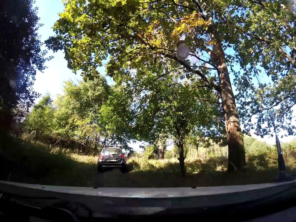 Transdusterania 2019 Part 13 reloaded