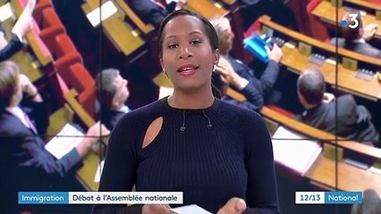 Immigration :  le débat s'ouvre à l'Assemblée nationale