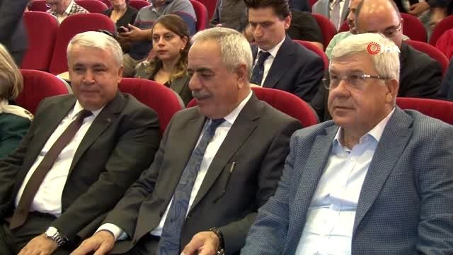 Zeytinde rekolte beklentisi 1 milyon 515 bin ton