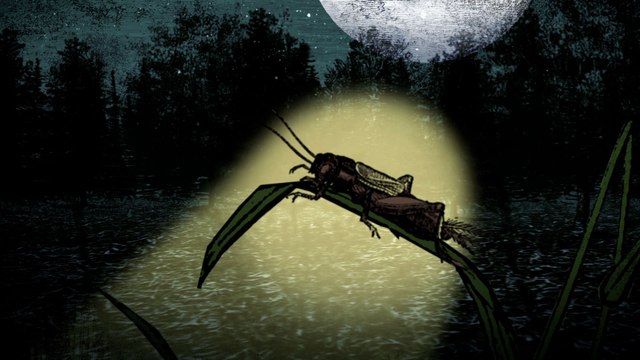 History|179406|564625987656|The Curse of Oak Island: Drilling Down|Drilling Down on Season 3: The History of the Treasure Hunt|S3|E1