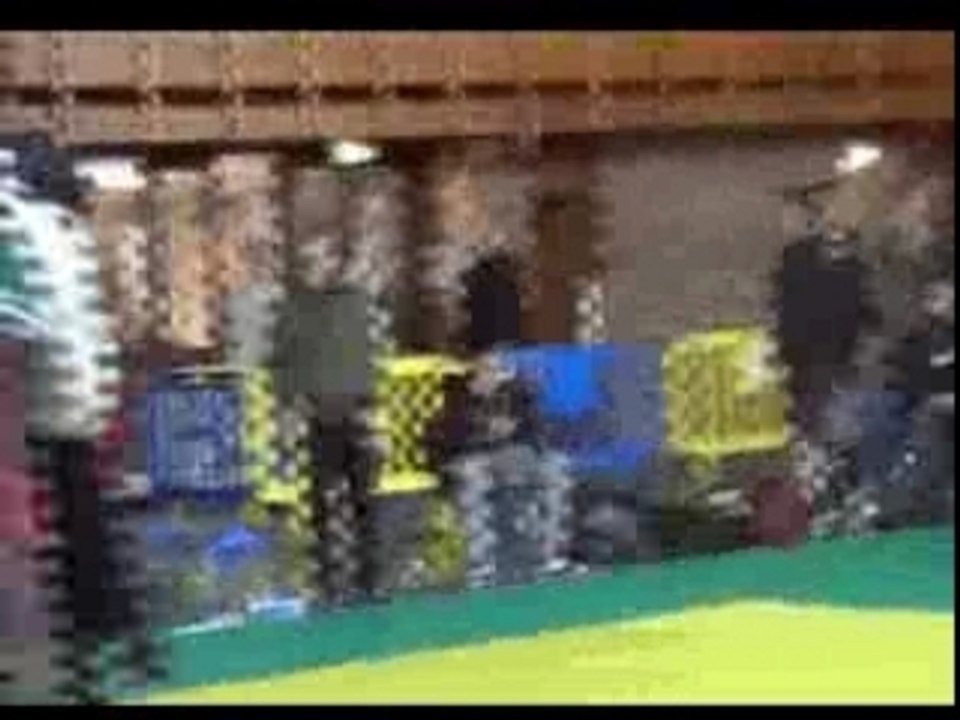 Cercle LAM-SON B.T.V.T.D.V.V 95 Sébastien JUMEL 3/2/2008