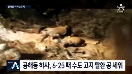 중공군 사진에 ‘6.25 영웅’…보훈처의 어이없는 실수