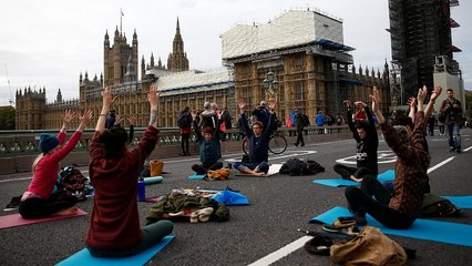 "Восстание вымирающих" в европейских столицах: перекрытия дорог и задержания