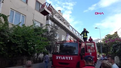 Muğla çıktığı balkonda mahsur kalan kedi mahalleyi seferber etti