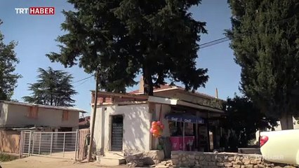 Bakkalını kesmeye kıyamadığı ardıcın etrafına yaptı