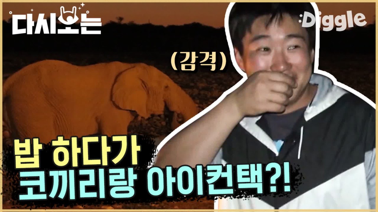[#꽃청춘] 라이온킹 현실판 (후하후하) 살다살다 코끼리랑 기린 물 마시는 걸 밥 먹다 보네!! 말도 안 되는 아프리카 클라스 | #꽃보다청춘_아프리카 | #Diggle