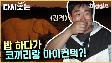 [#꽃청춘] 라이온킹 현실판 (후하후하) 살다살다 코끼리랑 기린 물 마시는 걸 밥 먹다 보네!! 말도 안 되는 아프리카 클라스 | #꽃보다청춘_아프리카 | #Diggle