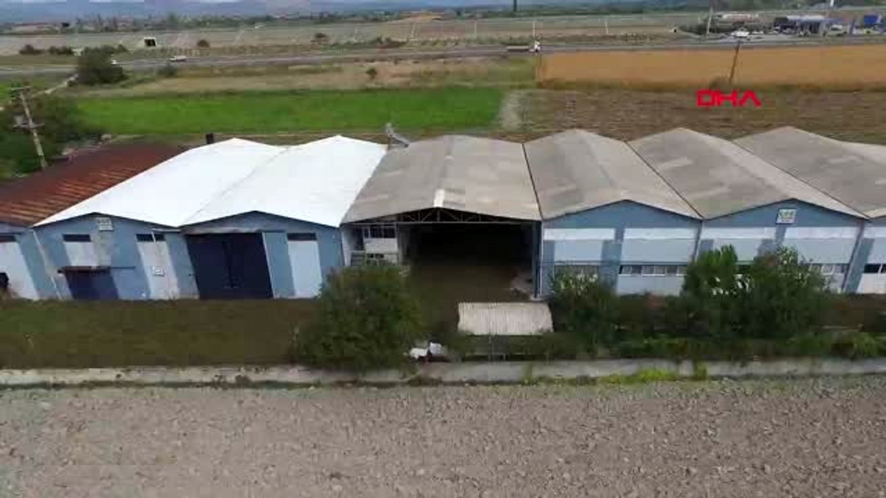 İzmir 'ege lokmanı'nın 32 ülkeden müşterisi var